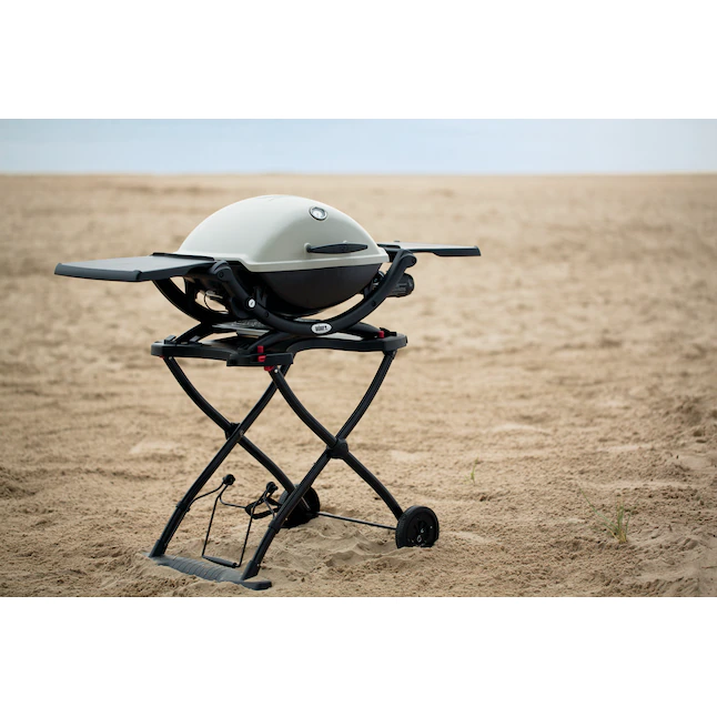 Weber Q2200 Titanium 1-Burner Liquid Propane Gas Grill