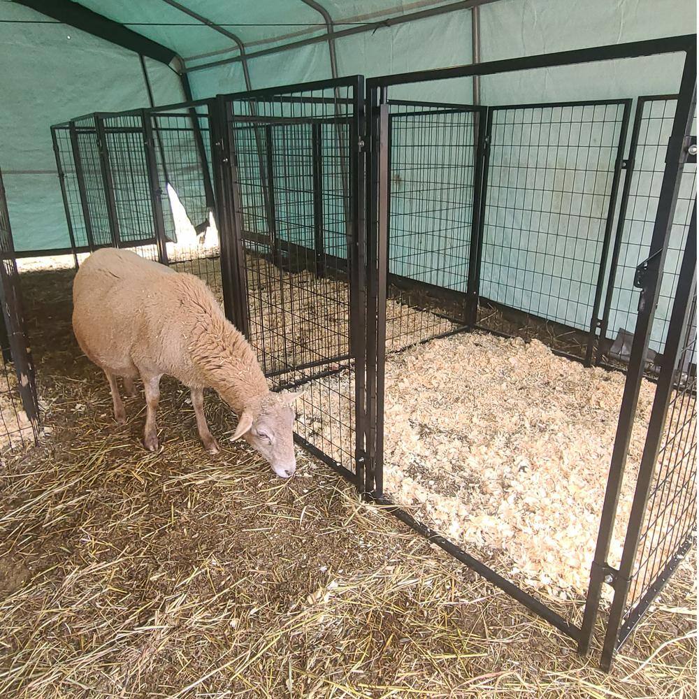 ALEKO DK5x5x4SQ-HD 4 ft. H x 5 ft. W x 5 ft. L Dog Kennel