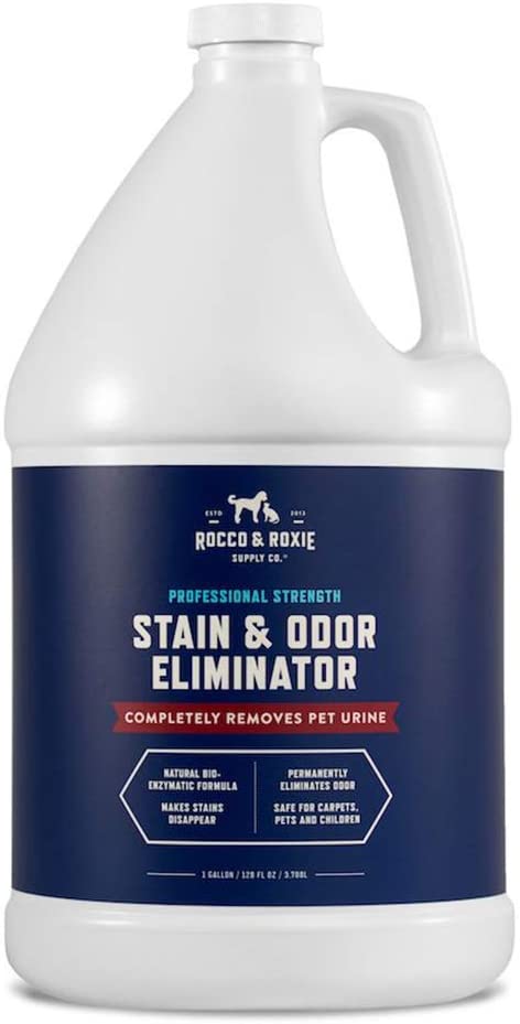 Rocco & Roxie Supply Co. Stain & Odor Eliminator for Strong Odor - Enzyme-Powered Pet Odor Eliminator for Home - Carpet Stain Remover for Cats and Dog Pee 1 Gallon - Enzymatic Cat Urine Destroyer - Carpet Cleaner Spray