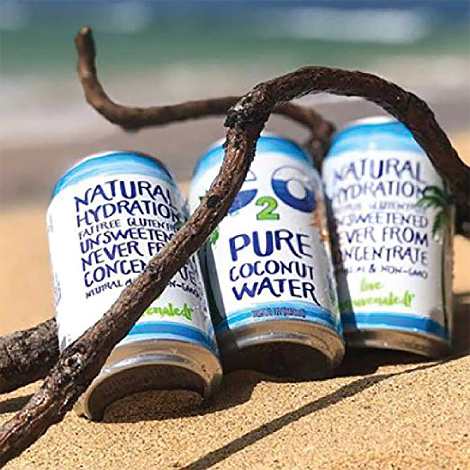 C2O Pure Coconut Water - Plant Based. Non-GMO. No Added Sugar. Essential Electrolytes - 16.3 FL OZ (Pack of 8)