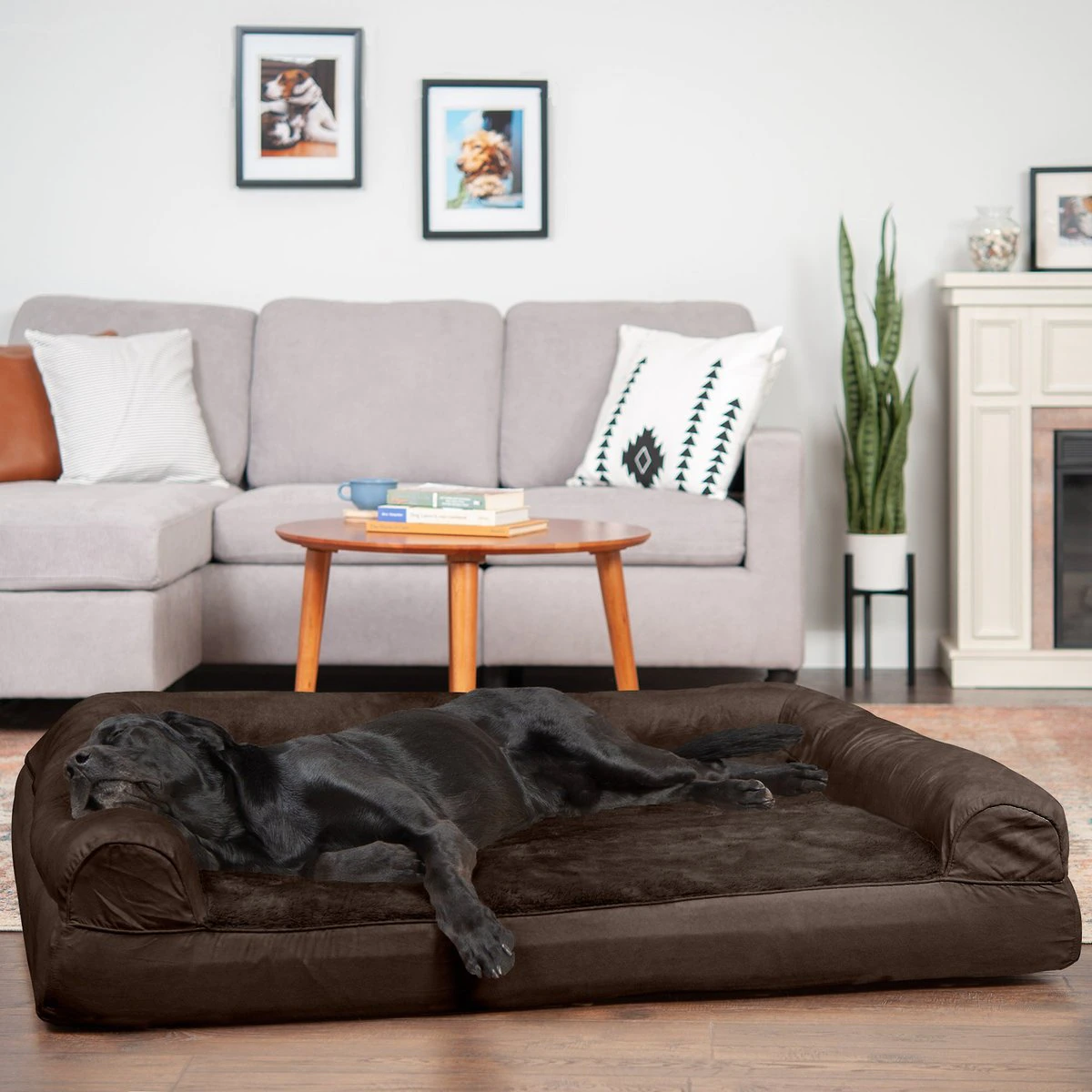 FurHaven Plush & Suede Full Support Orthopedic Sofa Dog & Cat Bed. Espresso. Jumbo Plus