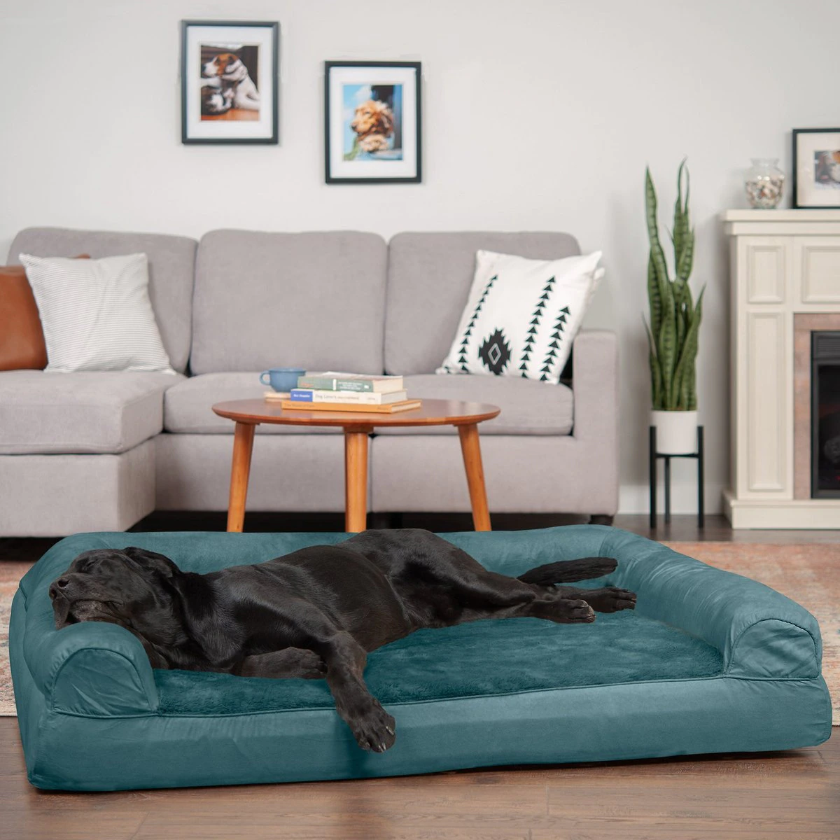 FurHaven Plush & Suede Full Support Orthopedic Sofa Dog & Cat Bed. Deep Pool. Jumbo Plus