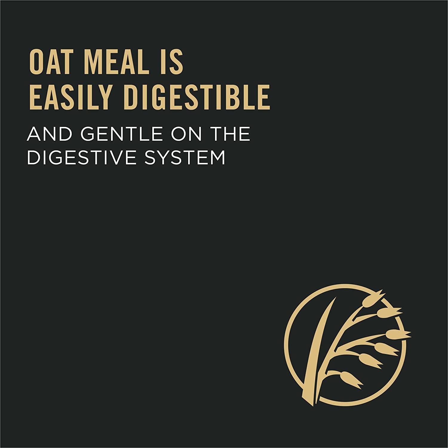 Purina Pro Plan Adult Sensitive Skin & Stomach Salmon & Rice Formula Dry Dog Food 16 Pound (Pack of 1)