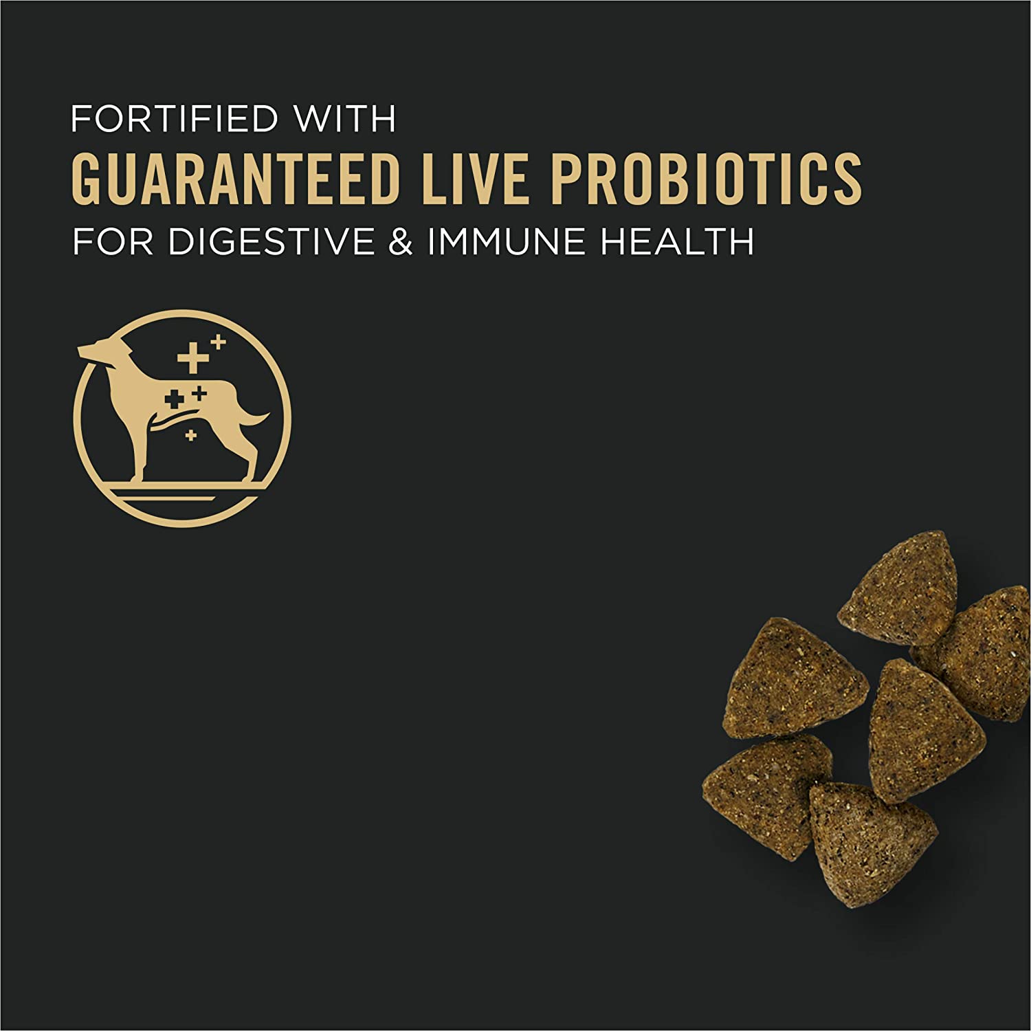 Purina Pro Plan Focus Sensitive Skin and Stomach with Oats Adult Dry Dog Food 4 lb. Bag