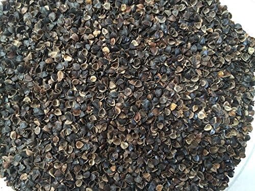 Beans72 Organic Buckwheat Pillow - Japanese Size (14 inches × 20 inches) Made in USA