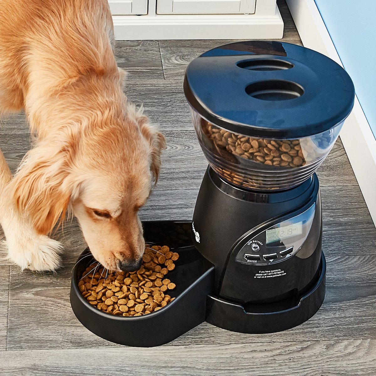Aspen Pet LeBistro Portion Control Programmable Dog & Cat Feeder. 18-cup
