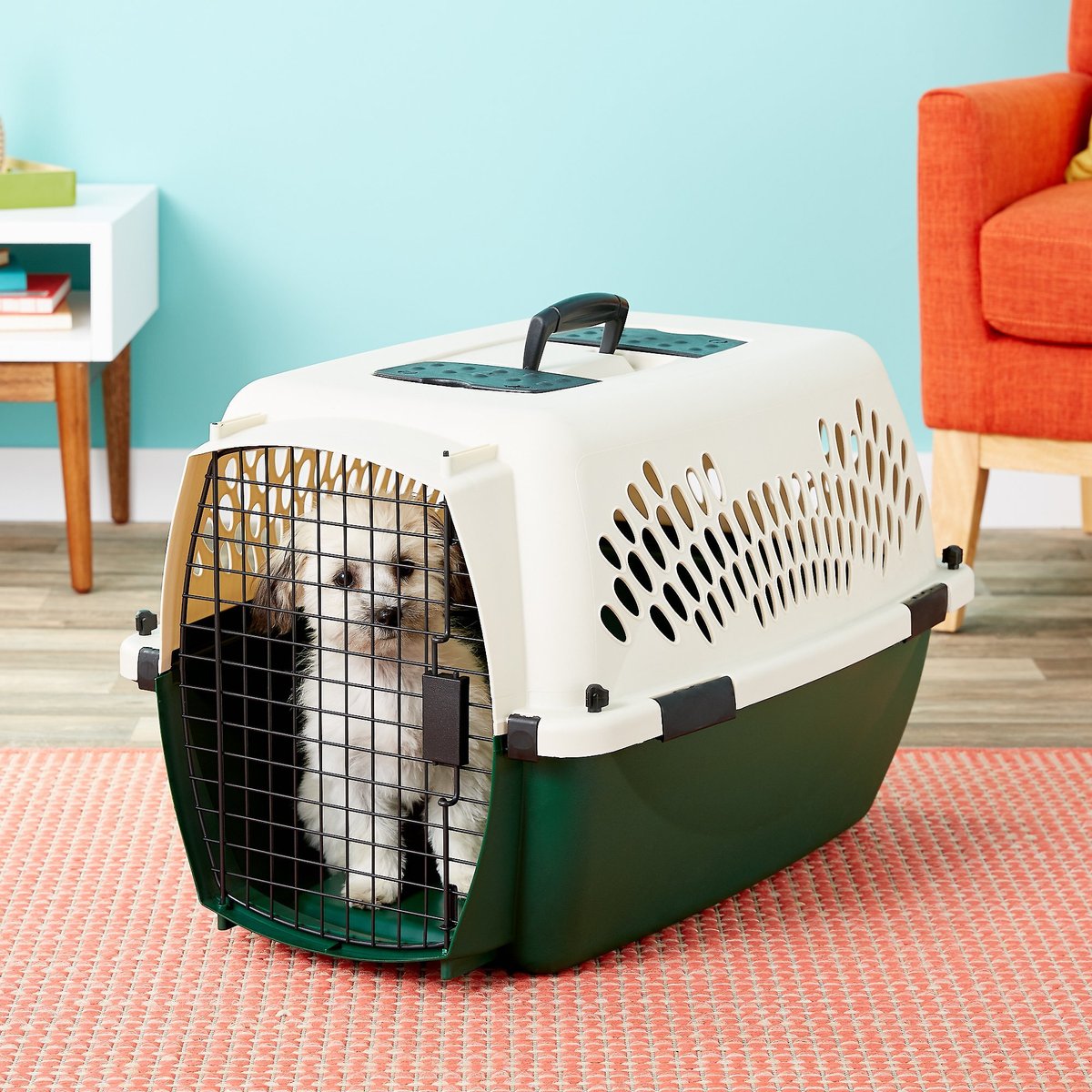 Petmate Ruff Maxx Pet Kennel. 26-in. Off White/Green
