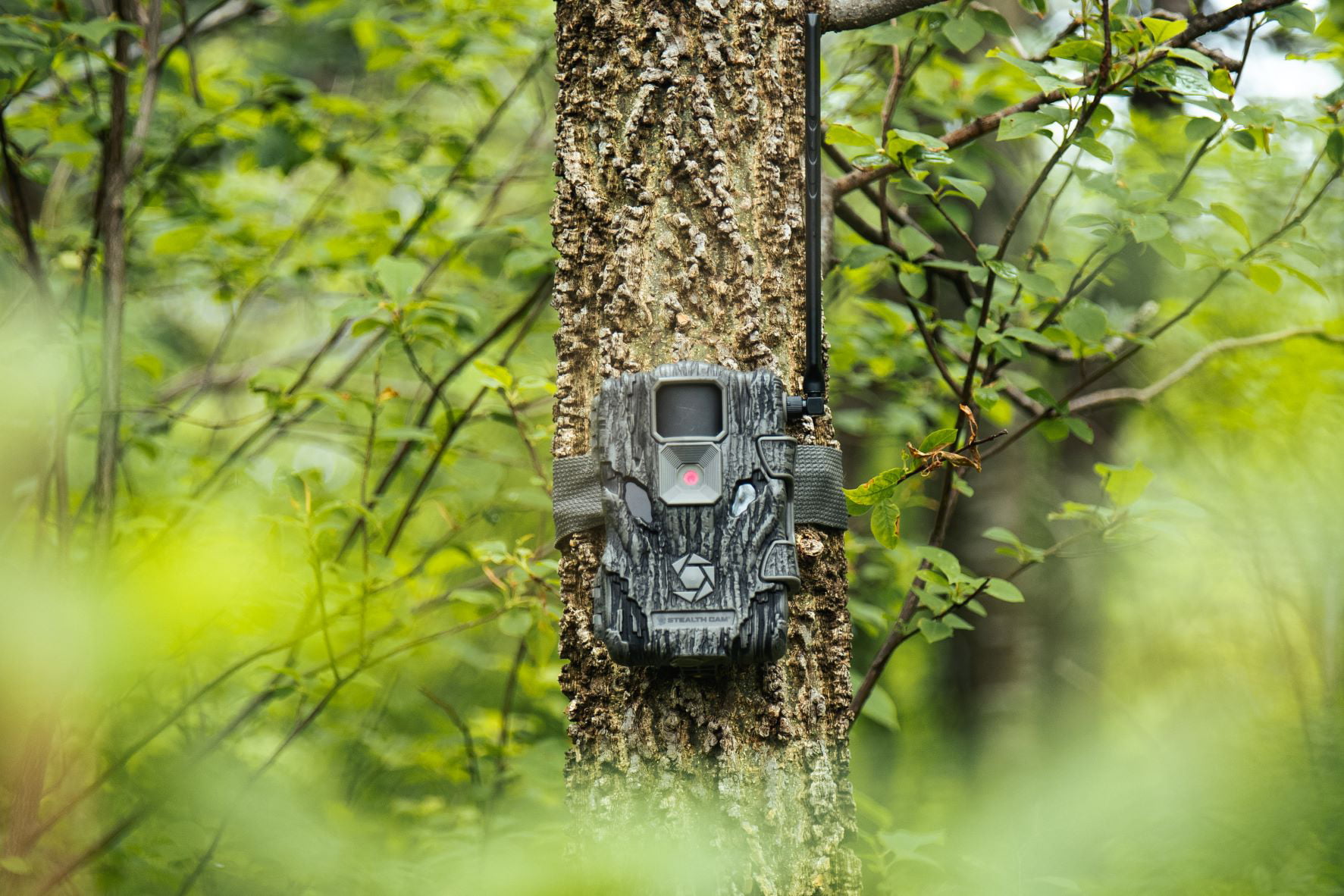 Stealth Cam Fusion X Wireless 26 Megapixel Hunting Trail Monitor Camera (Verizon)