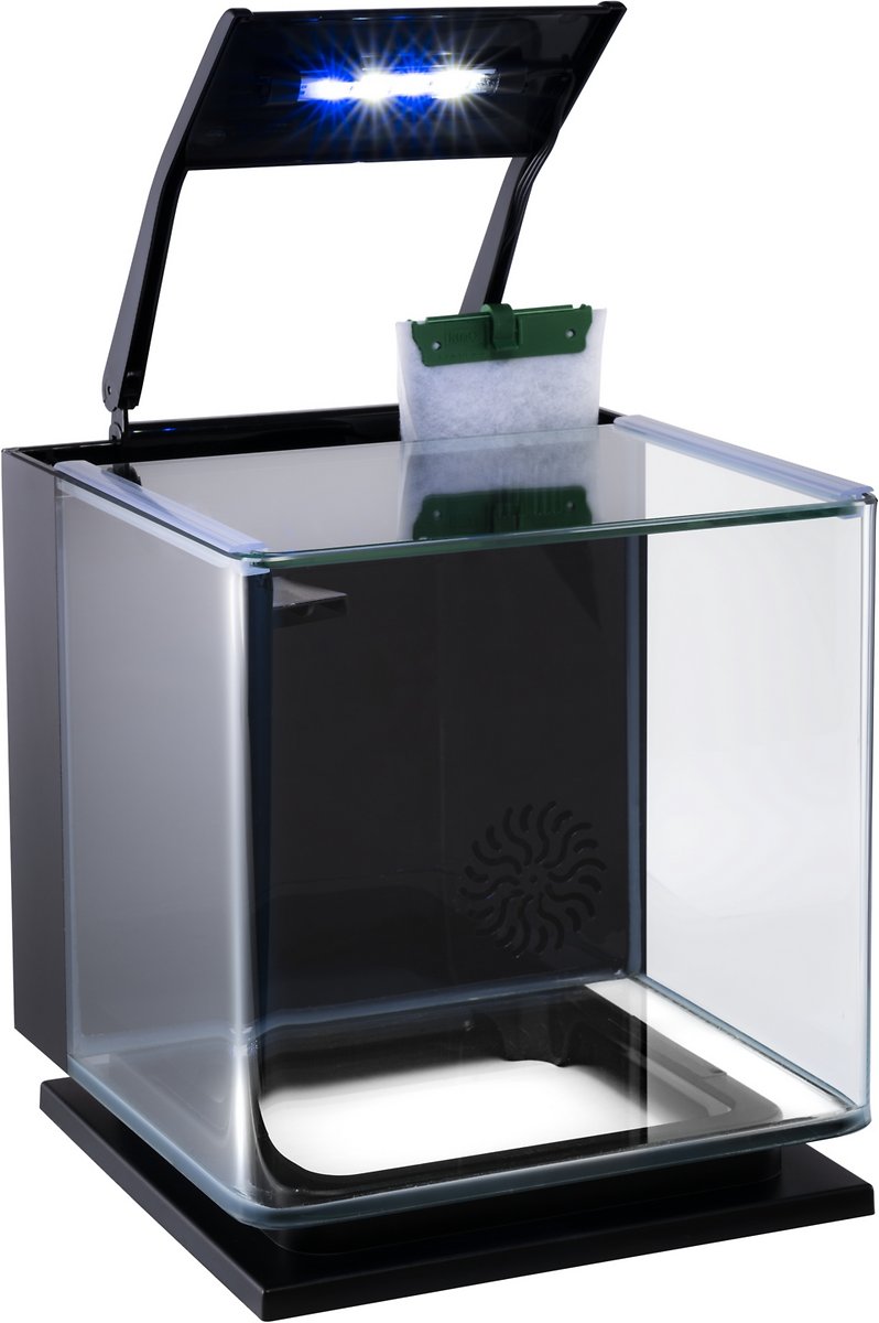 GloFish Betta Fish Aquarium Kit. 3-gal