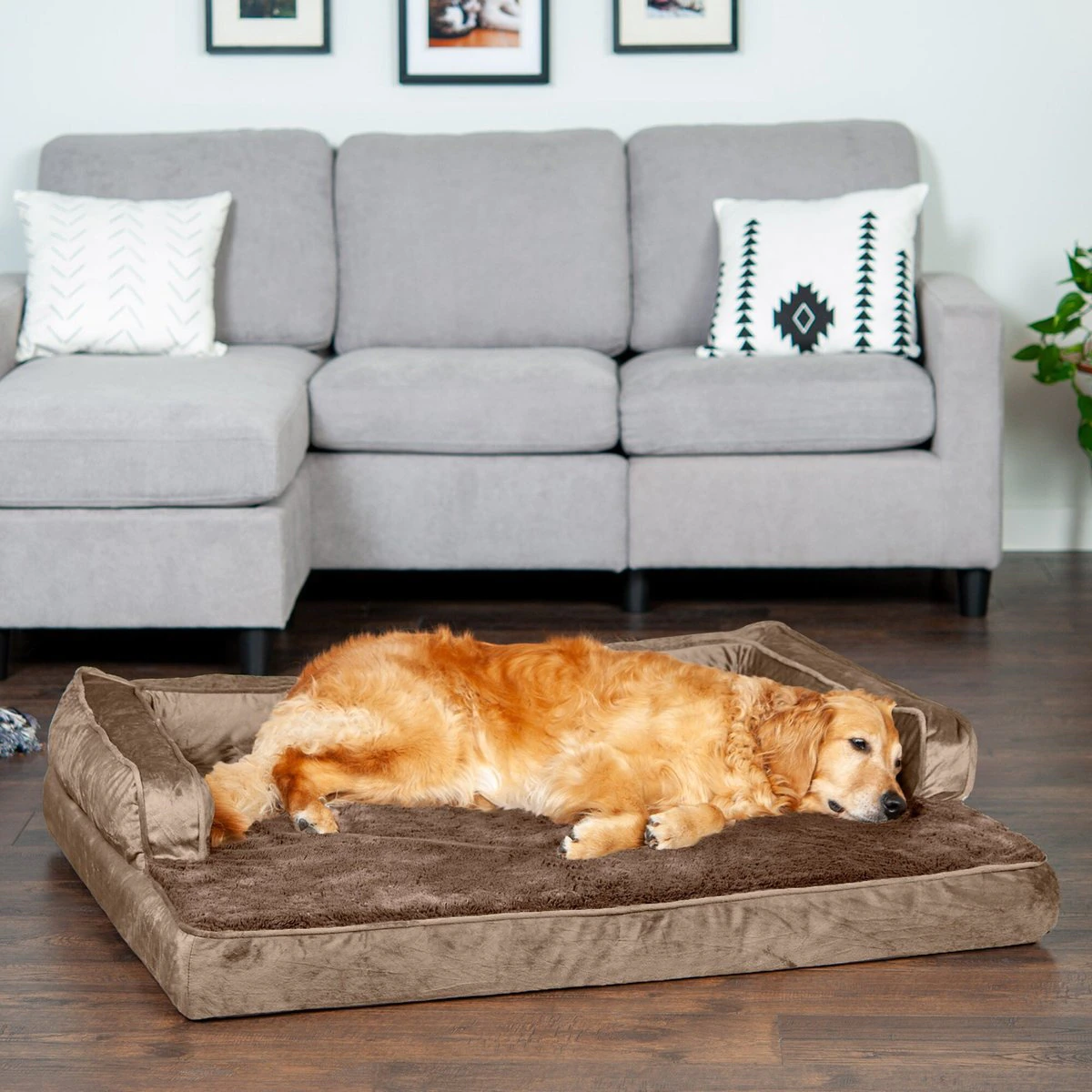 FurHaven Plush & Velvet Orthopedic Comfy Couch Dog & Cat Bed (Jumbo)