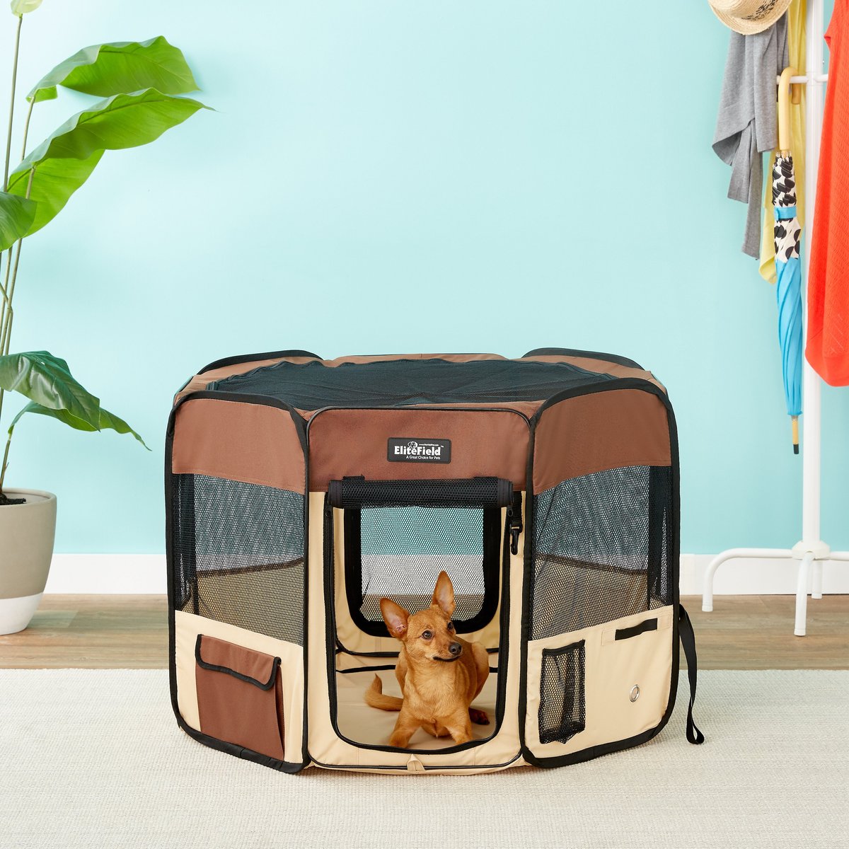 EliteField 2-Door Soft-Sided Dog & Cat Playpen (36″ x 36″ x 24″H. Brown+Beige)
