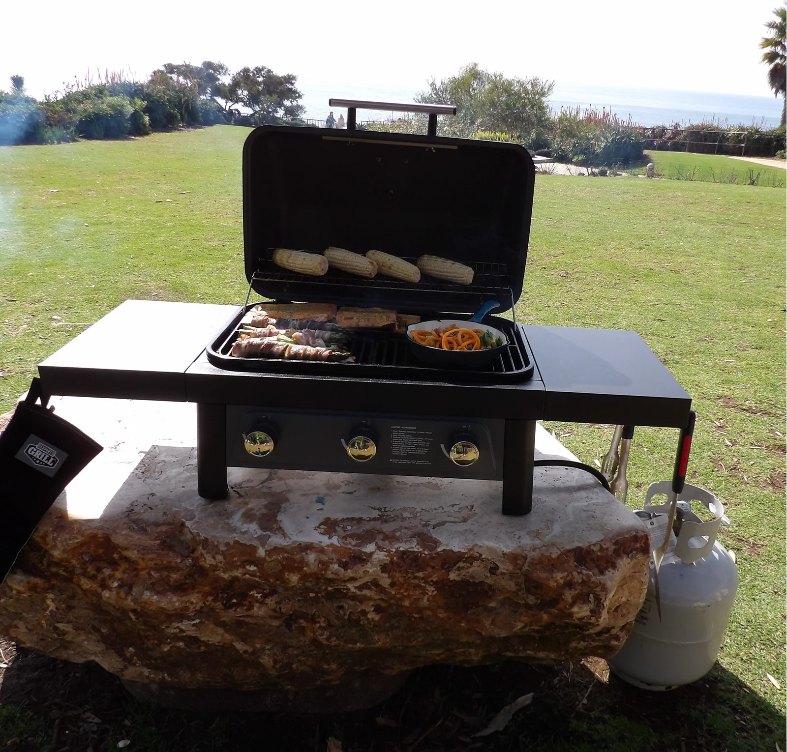 Bronco Brand-Man Grills 3 - Burner Portable Liquid Propane 27000 BTU Gas Grill