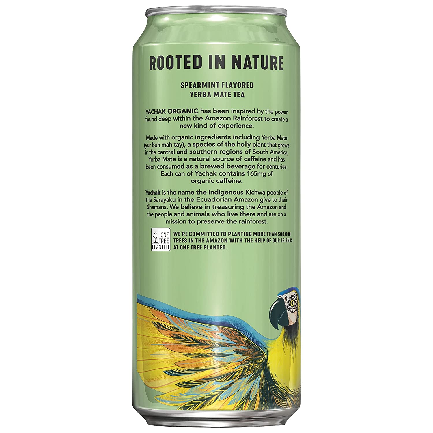 Yachak Yerba Mate Drink. Ultimate Mint. Packaging May Vary. 16 Fl Oz. Pack of 12