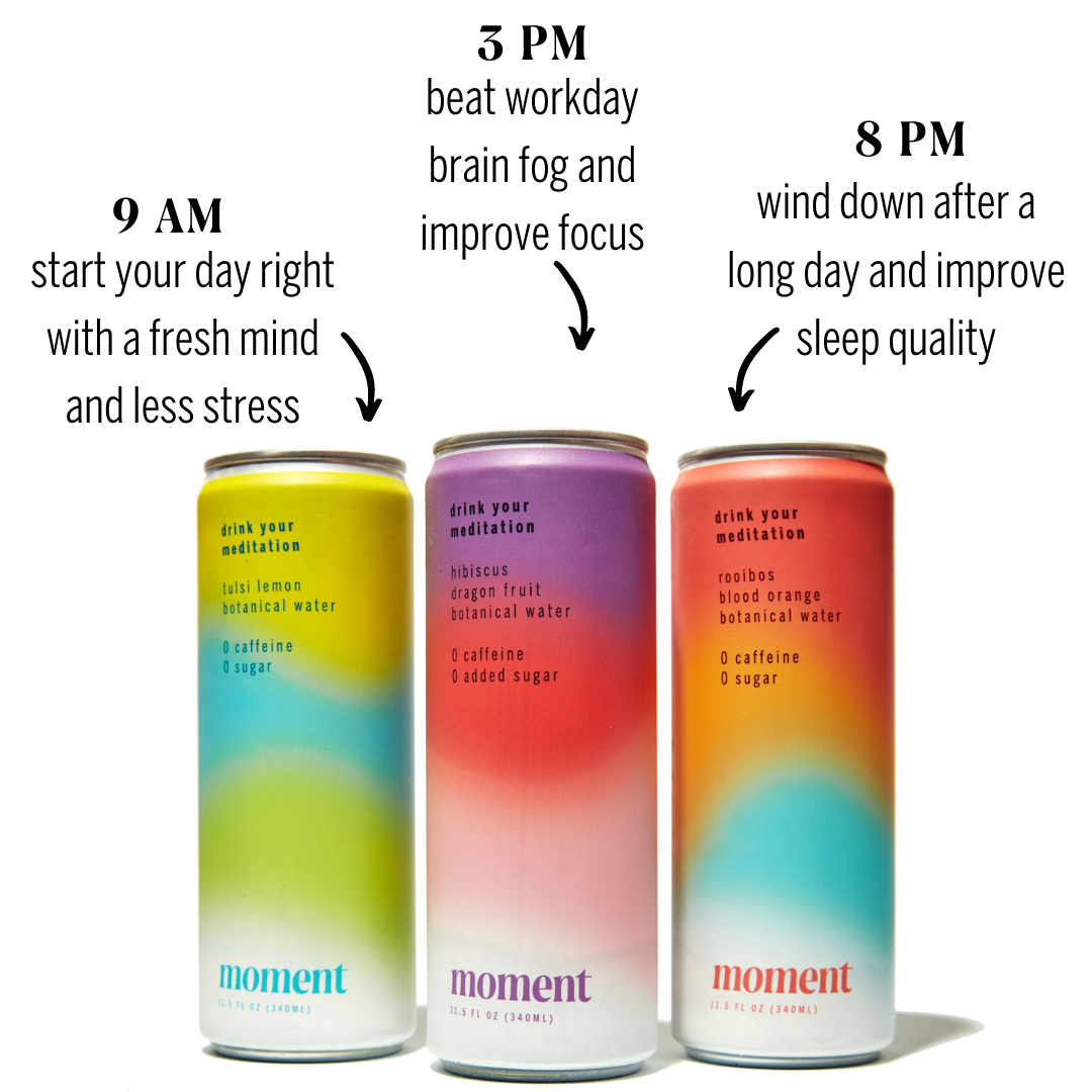 Moment Botanical Water. Blueberry Ginger. Still. Zero Added Sugar. 12 Pack. 11.5 fl oz