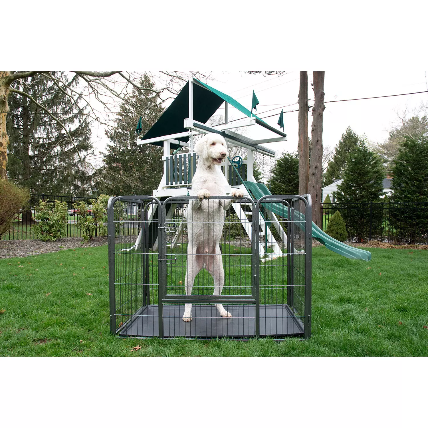 Iconic Pet Heavy Duty Rectangle Tube Pet Training Kennel/Dog Crate in Two Sizes – Pet Exercise Pen with Bottom Tray. Front Facing Door Dog Cage for Easy Access. Easy to Assemble Puppy Playpen