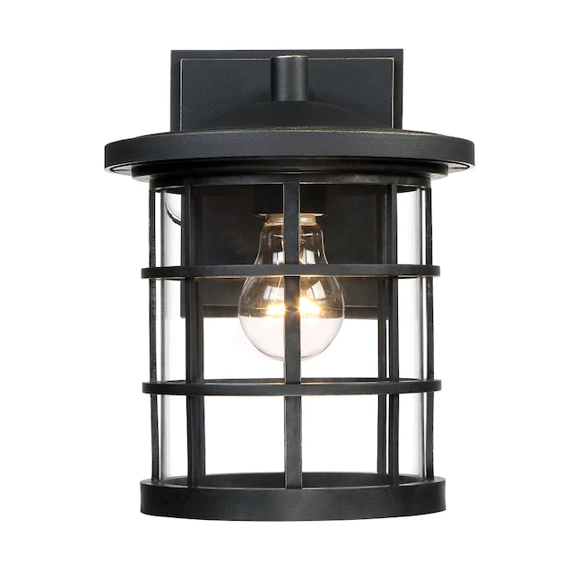 Quoizel  Asheville 1-Light 10.5-in Dark Oil Rubbed Bronze Outdoor Wall Light