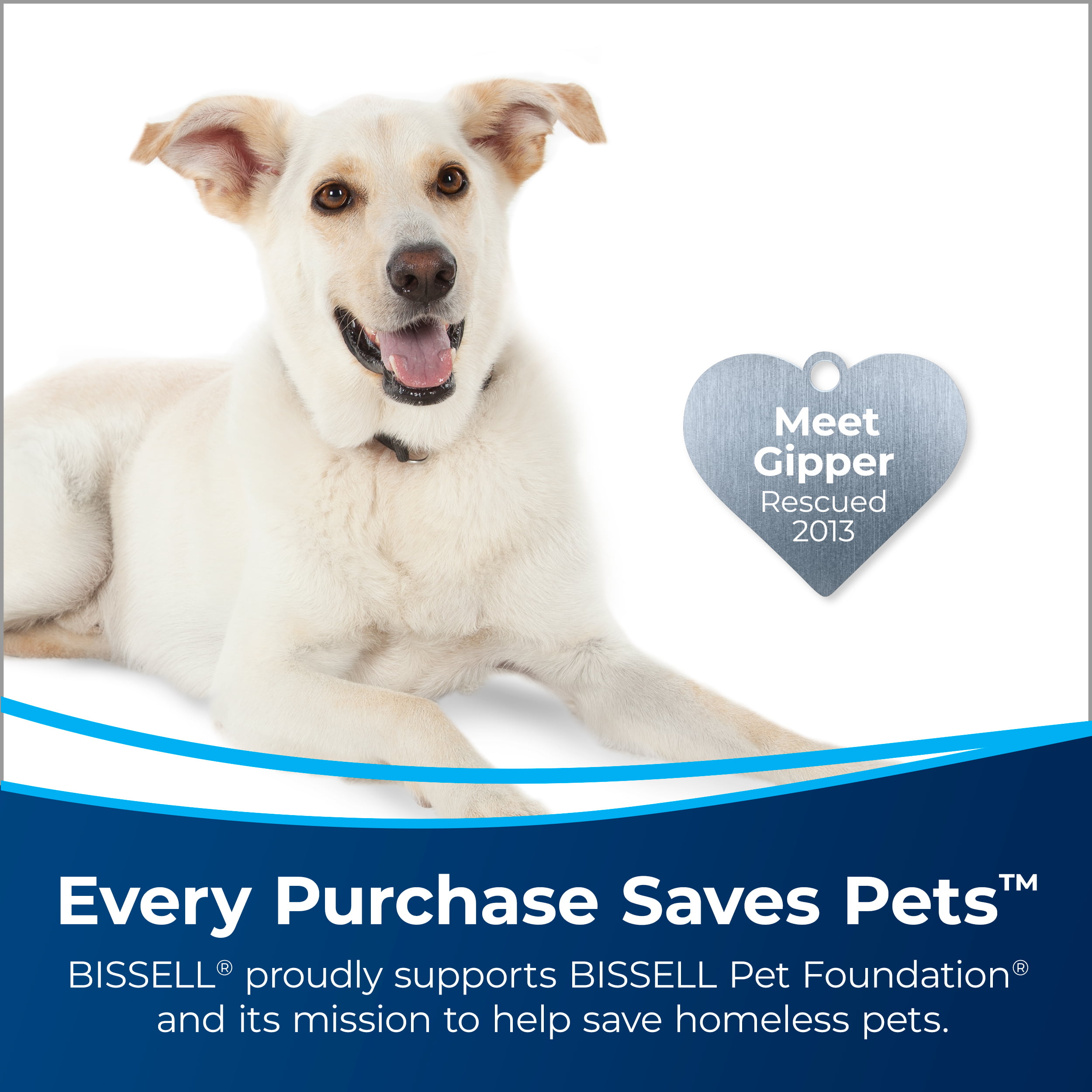 BISSELL PowerFresh 2-In-1 Multi Surface Steam Cleaner 2814