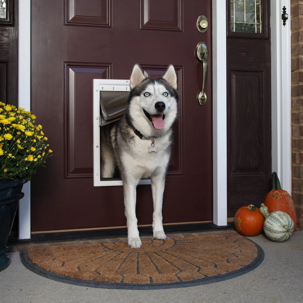 PetSafe Extreme Weather Energy Efficient Pet Door