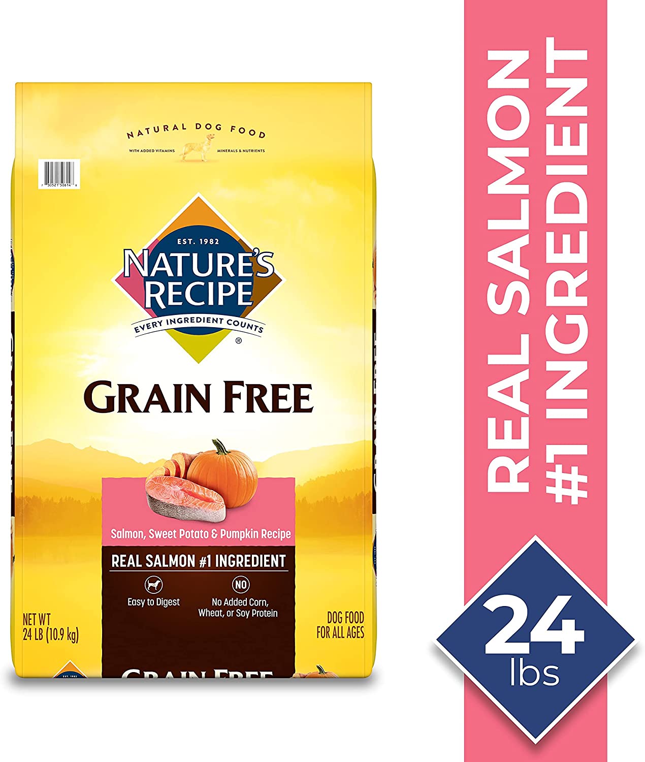 Nature-s Recipe Grain Free Dry Dog Food. Salmon. Sweet Potato & Pumpkin Recipe. 24 Pound Bag. Easy to Digest