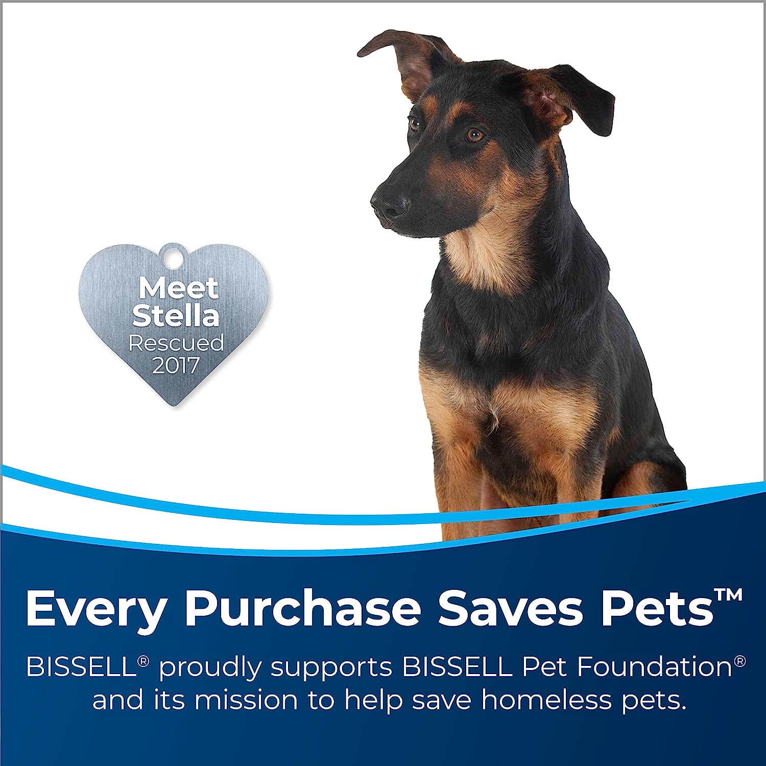 BISSELL® TurboClean™ DualPro Pet Carpet Cleaner