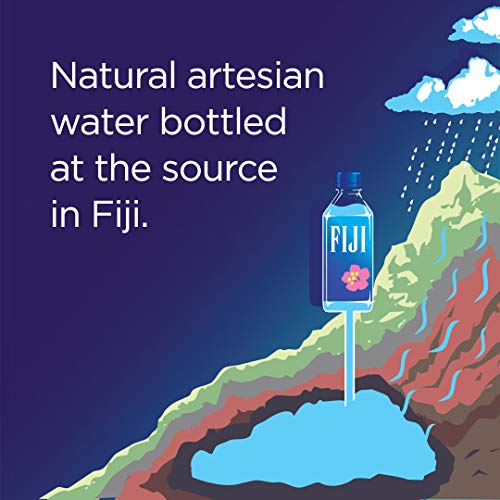 FIJI Natural Artesian Water. 16.9 Fl Oz Bottle (Pack of 24)