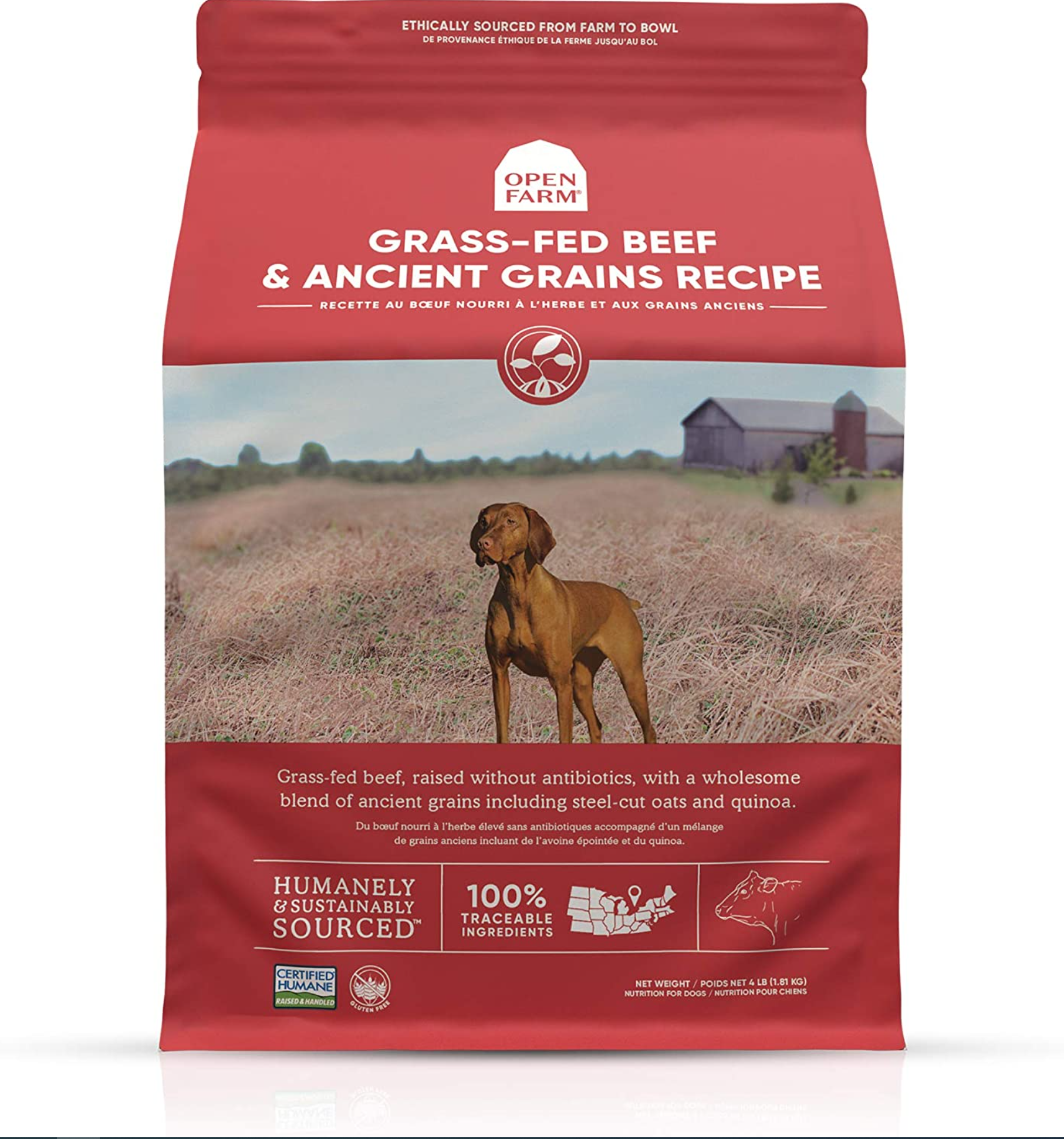 Open Farm Grass-Fed Beef & Ancient Grains Dry Dog Food 22 Pound (Pack of 1)