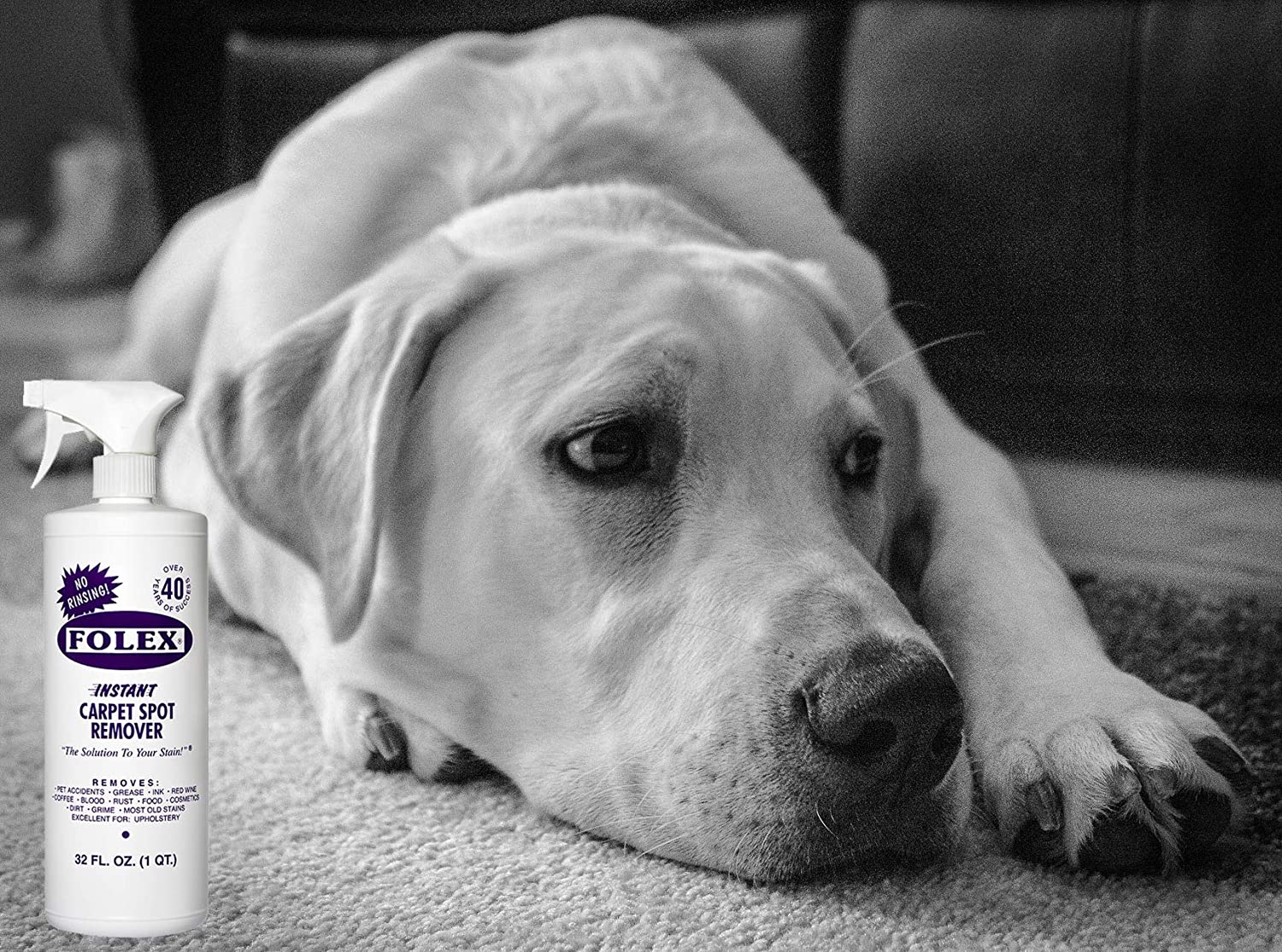 Cemko Cleaning Cloth + FOLEX Instant Carpet Spot Remover. 32oz