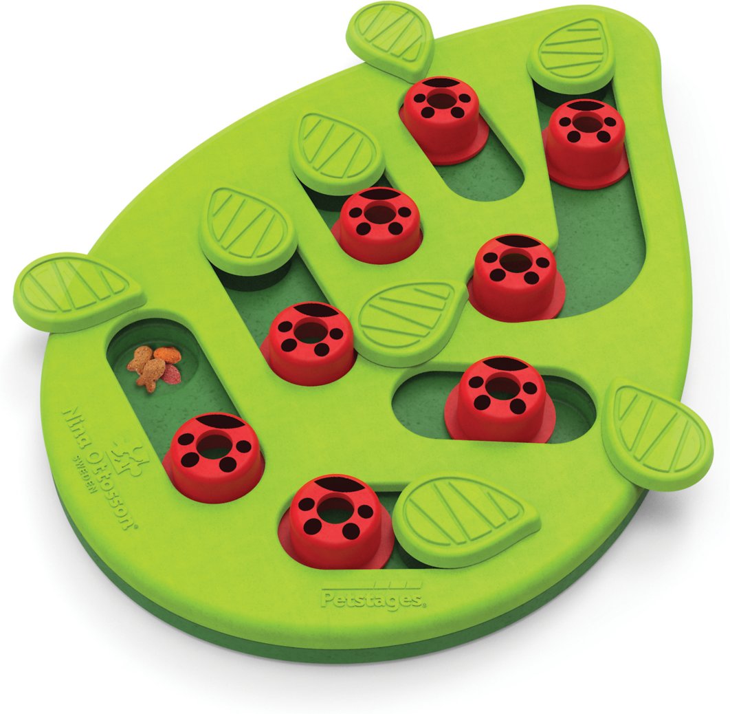 Petstages Buggin- Out Puzzle & Play Cat Toy