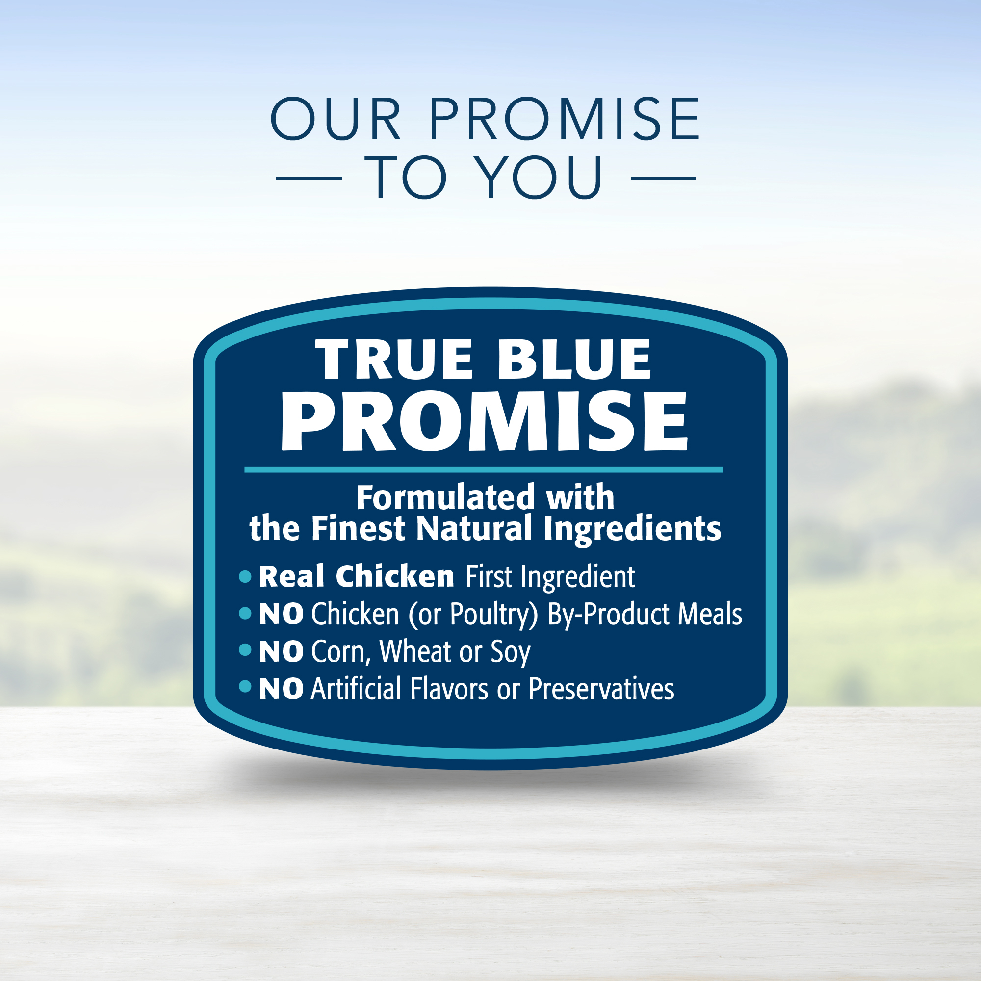 Blue Buffalo Life Protection Formula Natural Adult Healthy Weight Chicken and Brown Rice Dry Dog Food. 30 lbs.