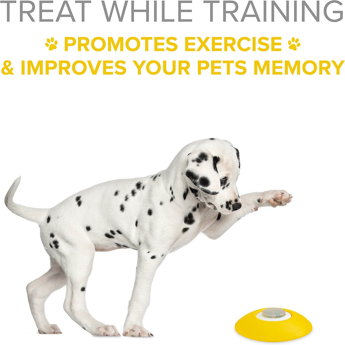 Arf Pets Memory & Training Activity Dog Treat Dispenser - Dog Puzzle Memory Training Activity Toy – Treat While Train. Promotes Exercise by Rewarding Your Pet. Cat. Improves Memory & Positive Training for A Healthier & Happier