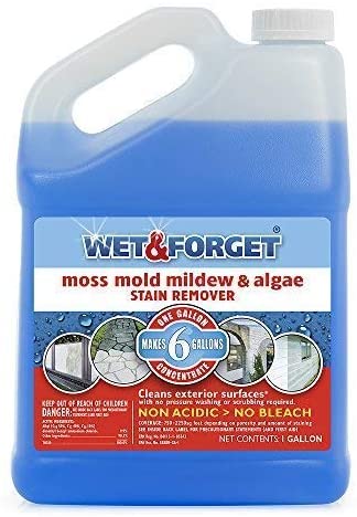 Wet and Forget 10587 1 Gallon Moss. Mold and Mildew Stain Remover