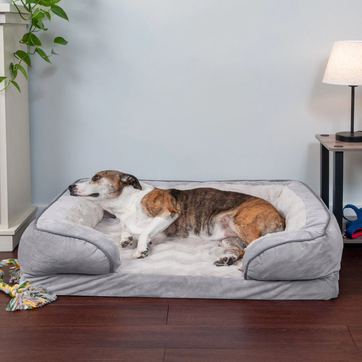 FurHaven Velvet Waves Perfect Comfort Orthopedic Sofa Cat & Dog Bed - Large. Granite Gray