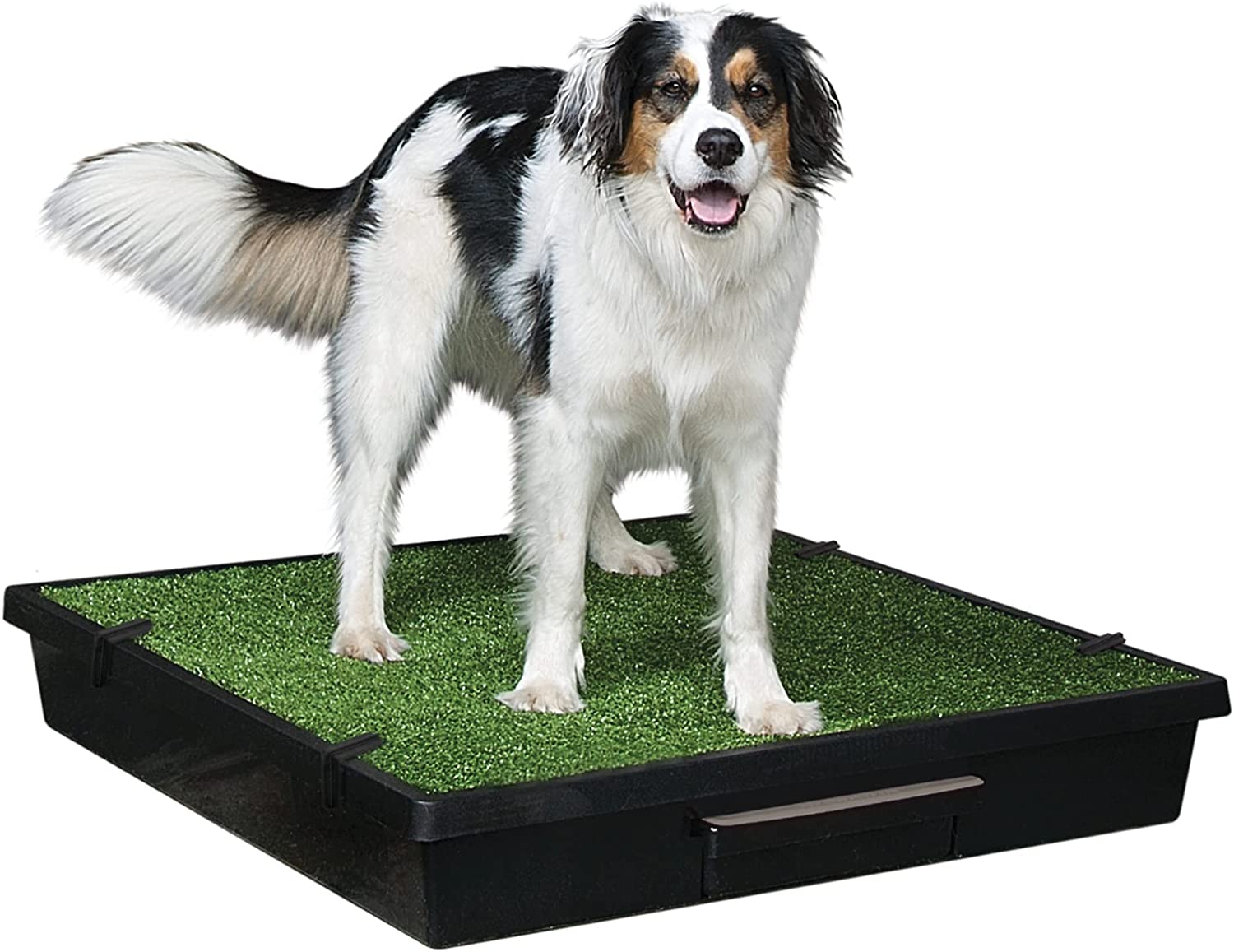PetSafe Pet Loo Portable Indoor & Outdoor Dog Potty. Large