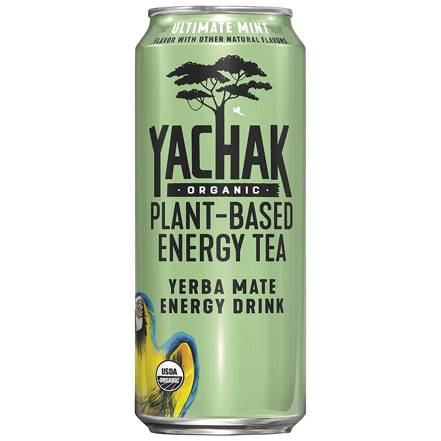 Yachak Yerba Mate Drink. Ultimate Mint. Packaging May Vary. 16 Fl Oz. Pack of 12