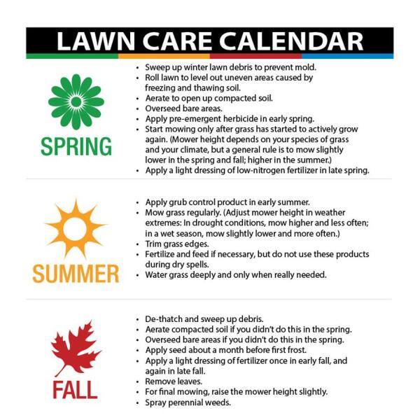 Agri-Fab 45-0295 48 in. Tow Lawn Dethatcher