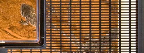 Exo Terra Flat Home Reptile Faunarium. Large