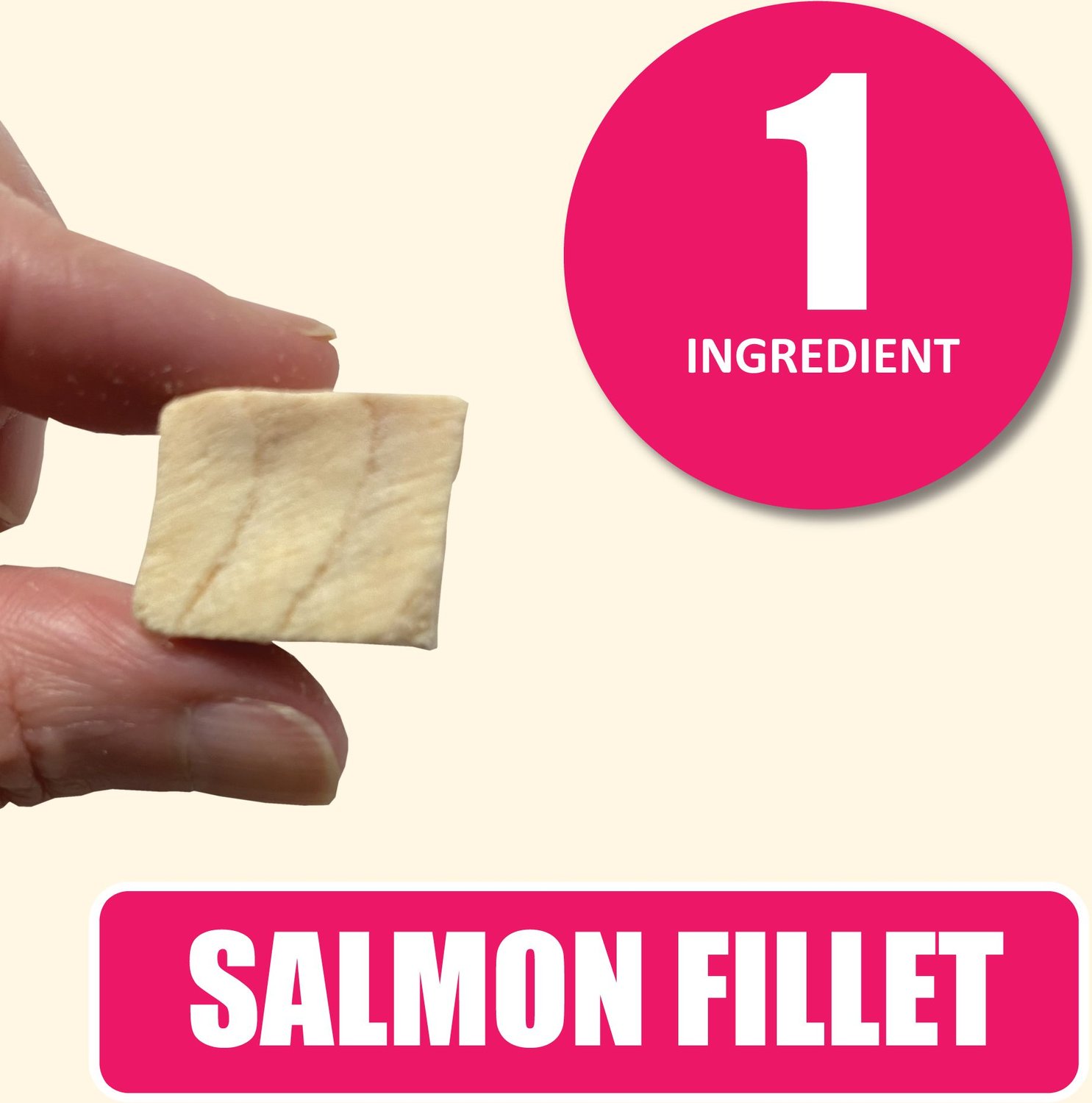 Whole Life Just One Ingredient Pure Salmon Fillet Freeze-Dried Dog & Cat Treats