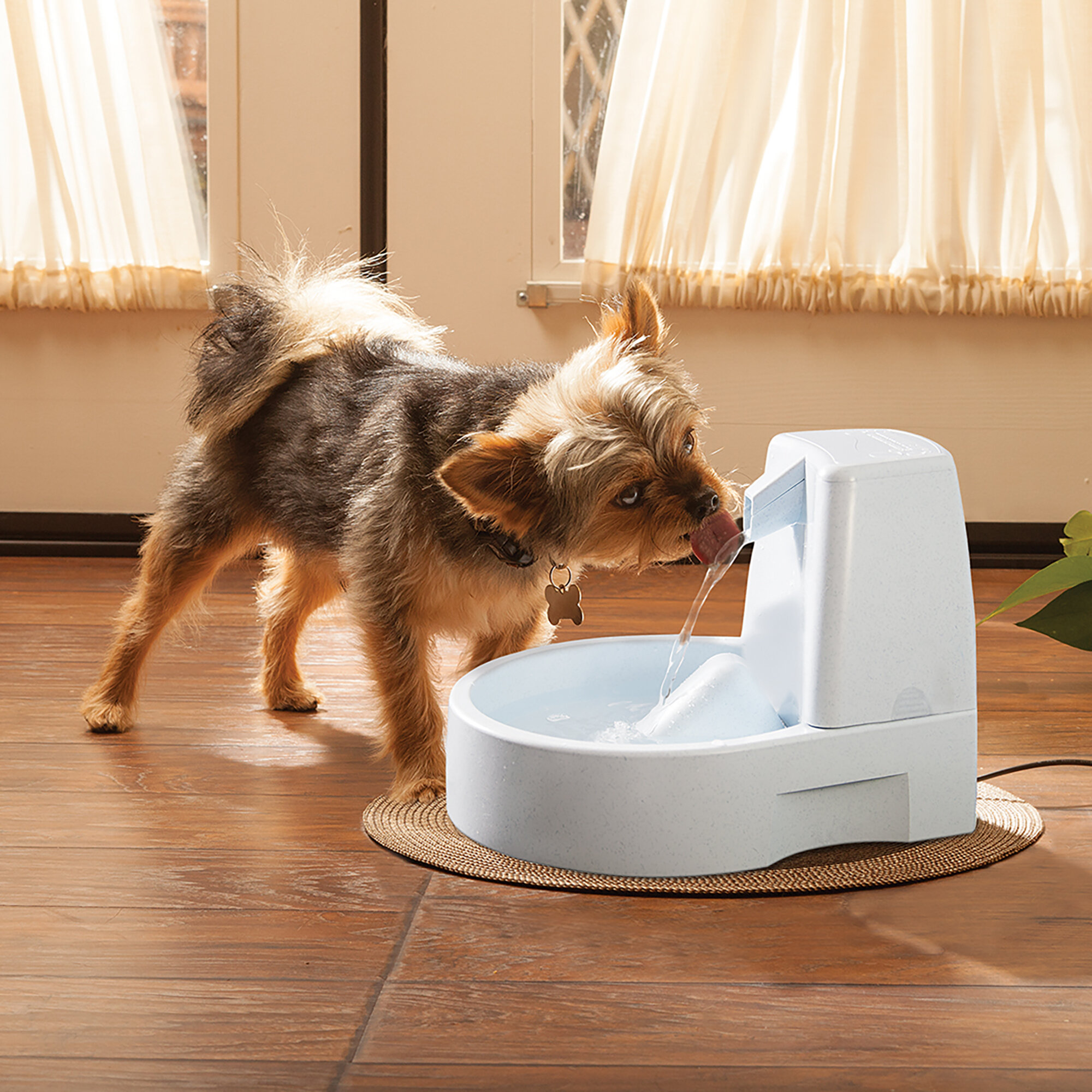 Drinkwell® Original Pet Fountain