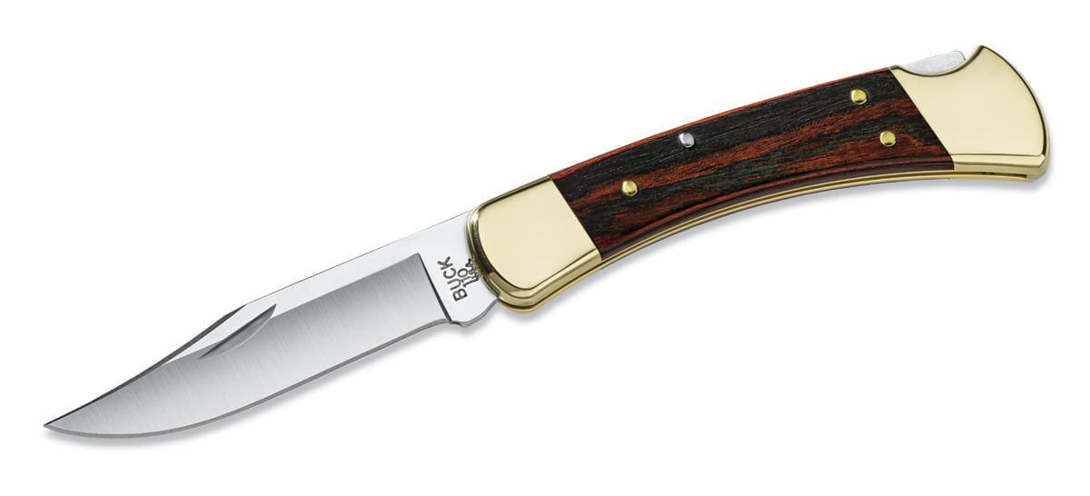 Buck Knives 110 Folding Hunter Lock Back Knife