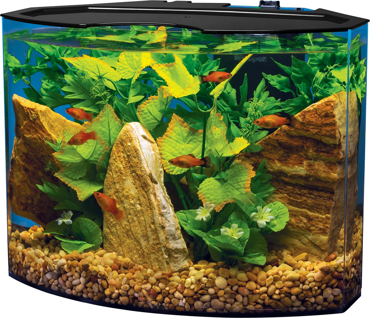 Tetra Crescent Aquarium Kit. 5-gal