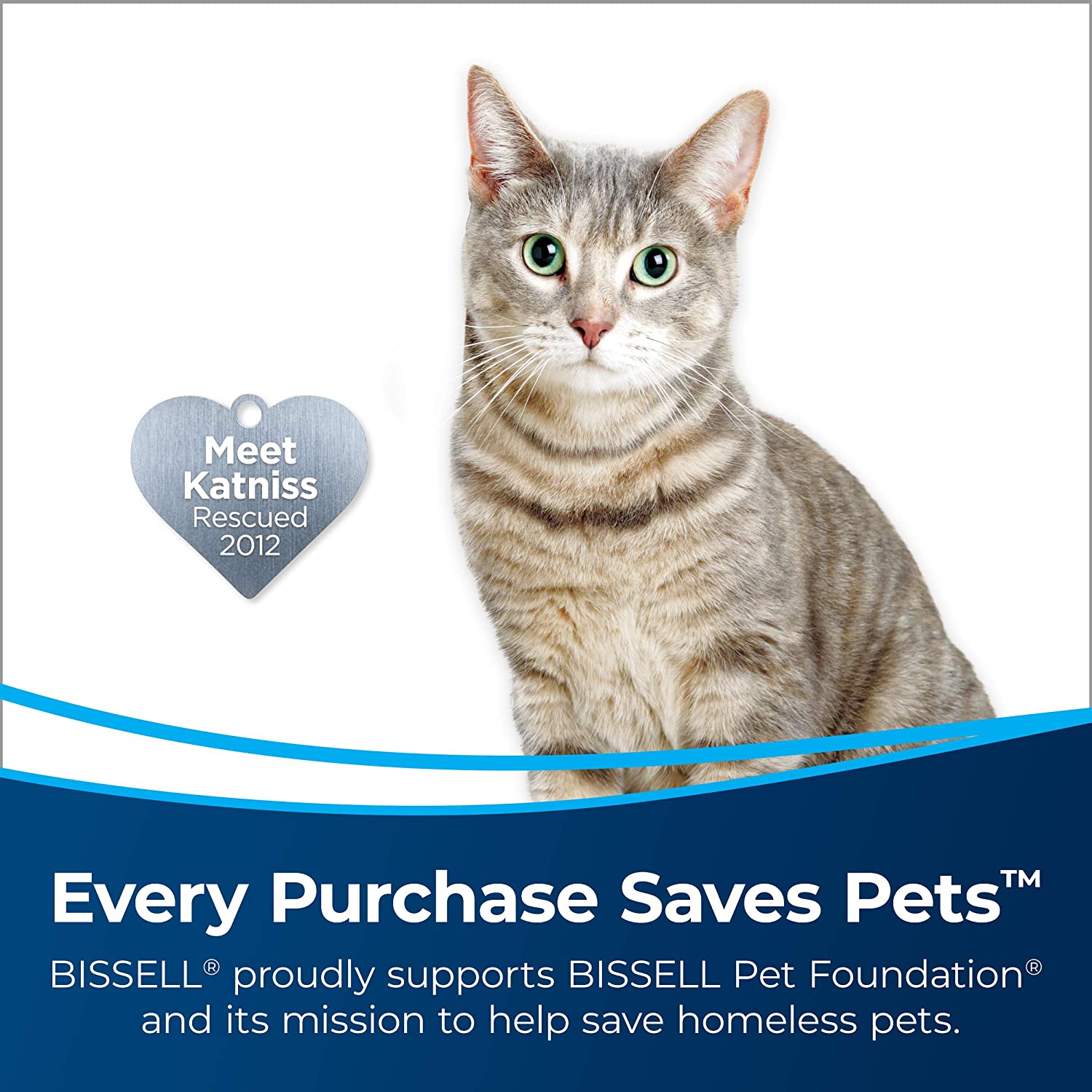 BISSELL 29869 AeroSlim Lithium Ion Cordless Handheld Vacuum