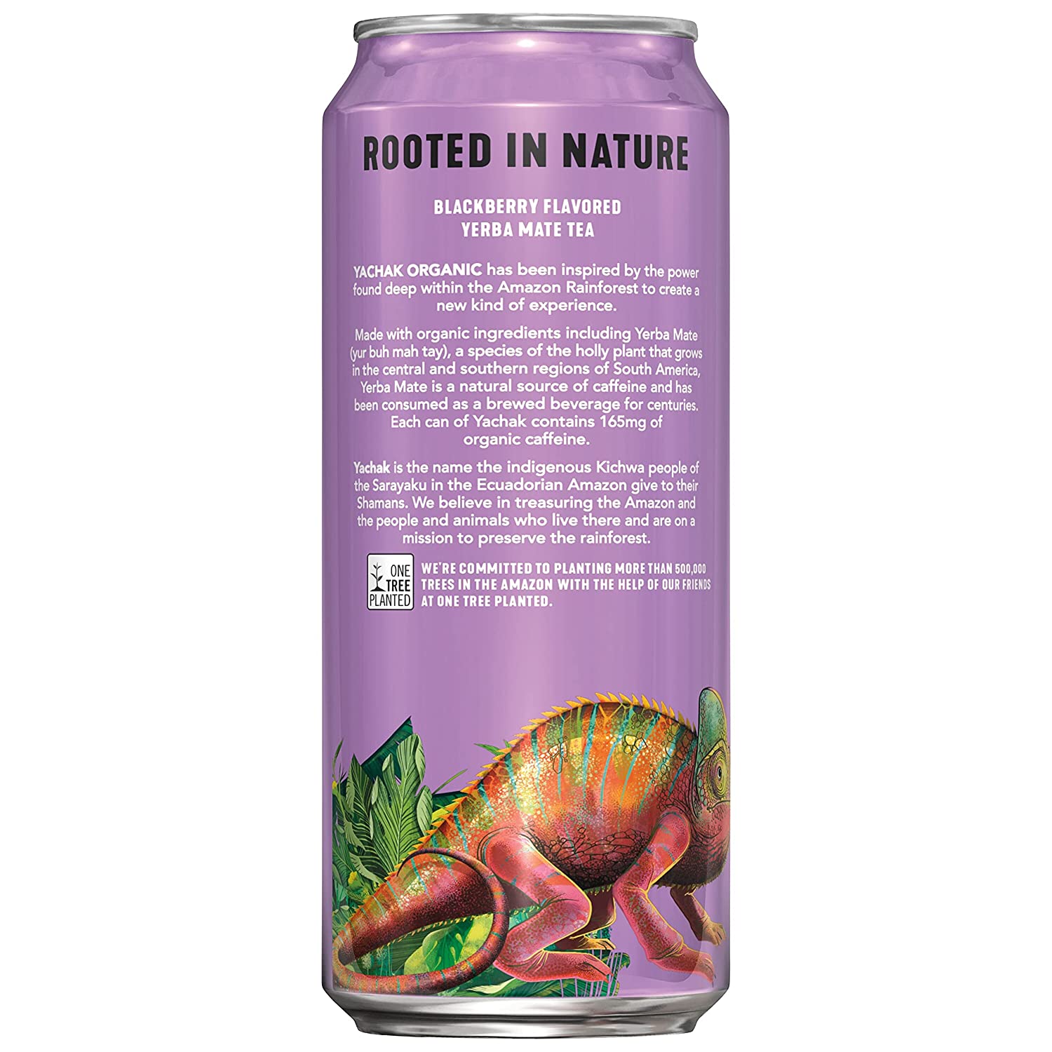 Yachak Yerba Mate Drink. Blackberry. 16 Fl Oz Cans. Pack of 12