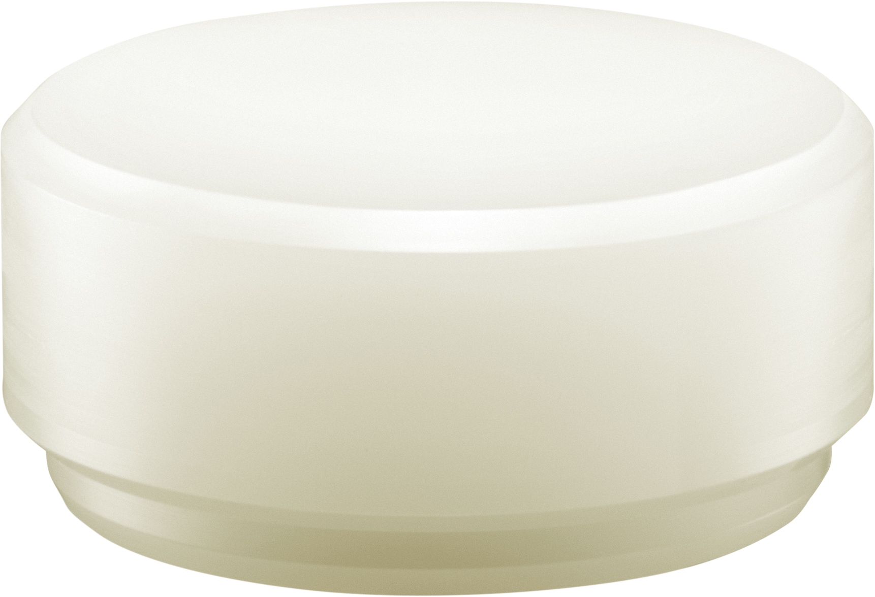 Halder 3.8581-lb Smooth Face Plastic Head Steel Dead Blow Hammer