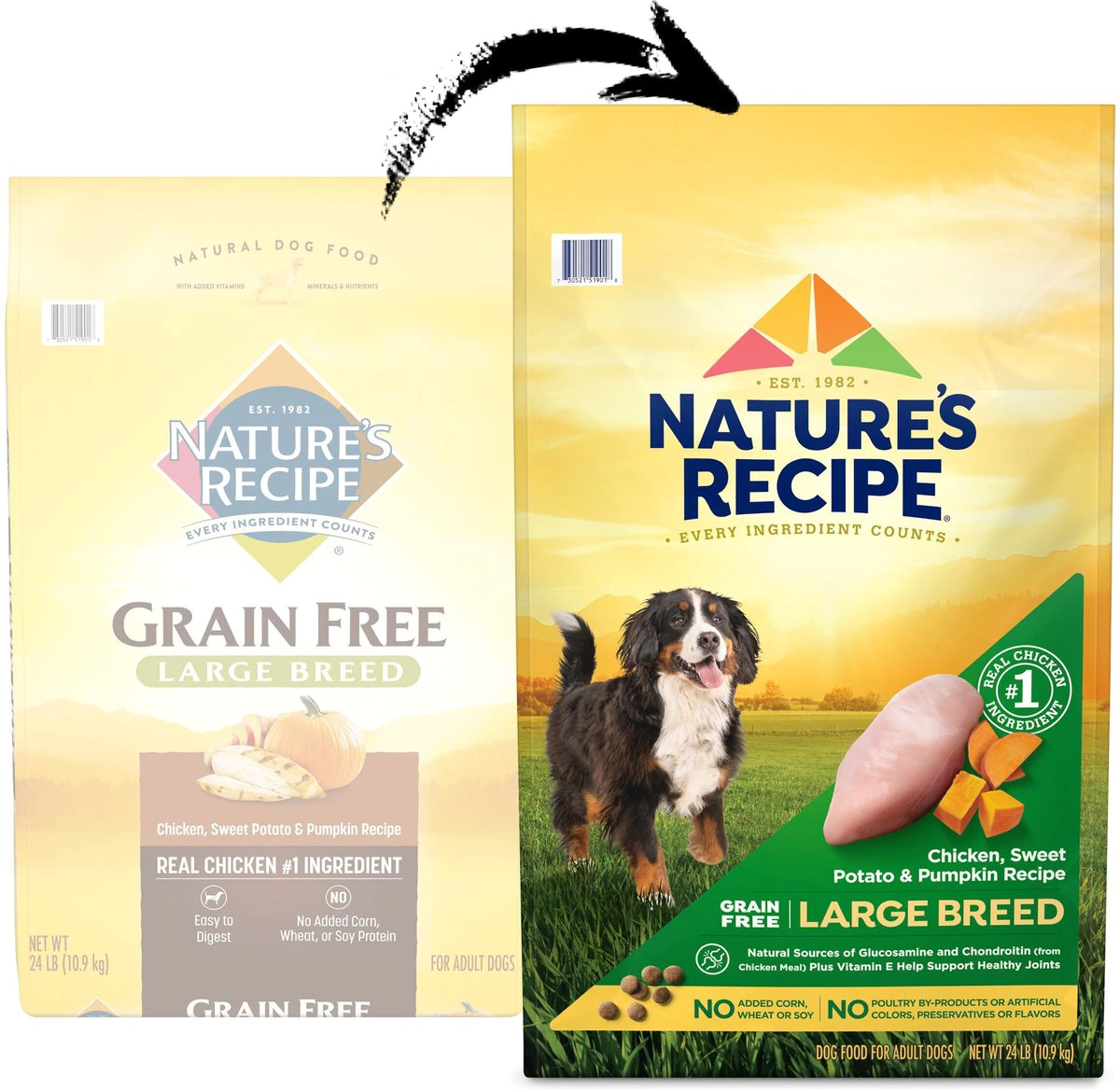 Nature-s Recipe Large Breed Grain-Free Chicken. Sweet Potato & Pumpkin Recipe Dry Dog Food -   24-lb bag