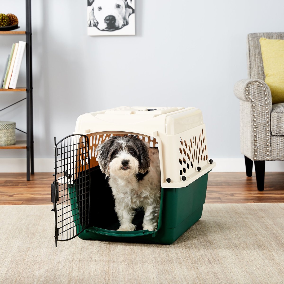 Petmate Ruff Maxx Pet Kennel. 28-in. Off White/Green
