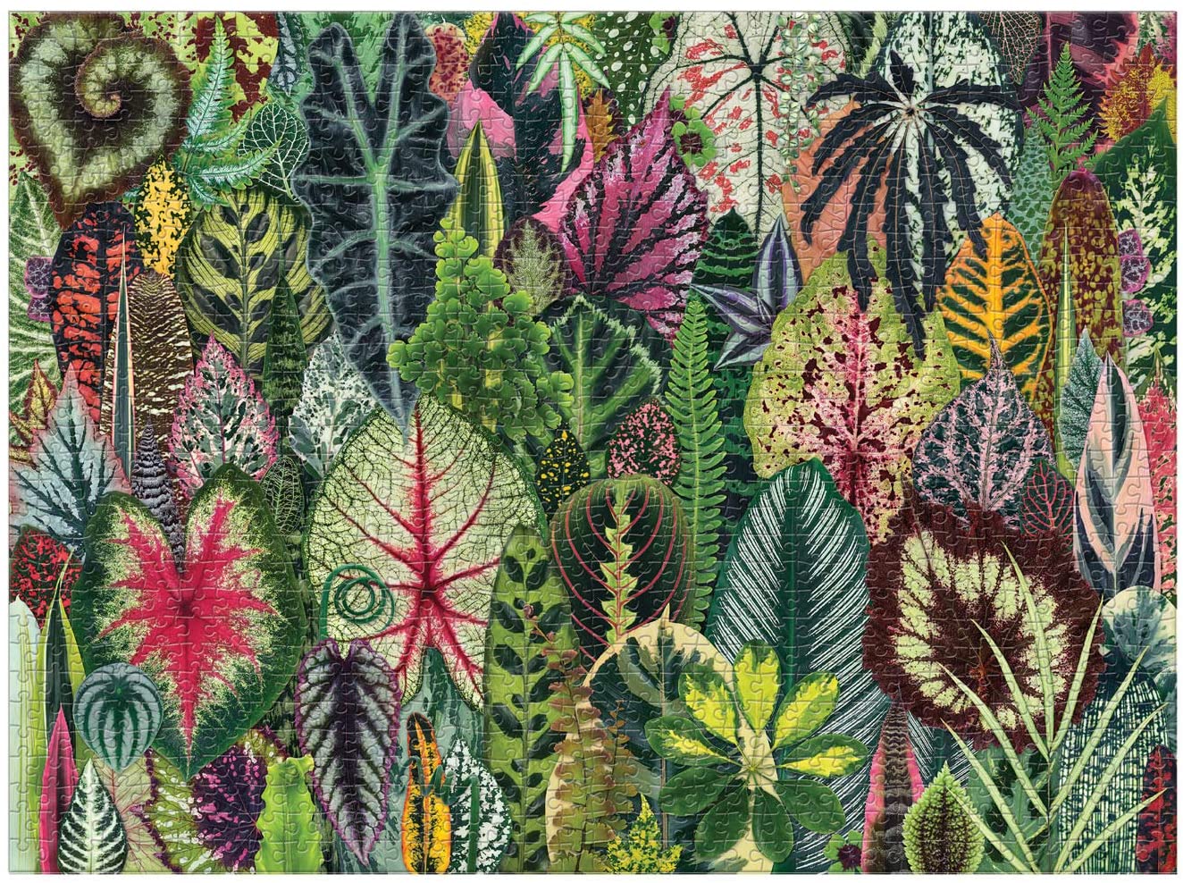 Galison Houseplant Jungle 1000 Piece Jigsaw Puzzle Adult – Plant Jigsaw Puzzle
