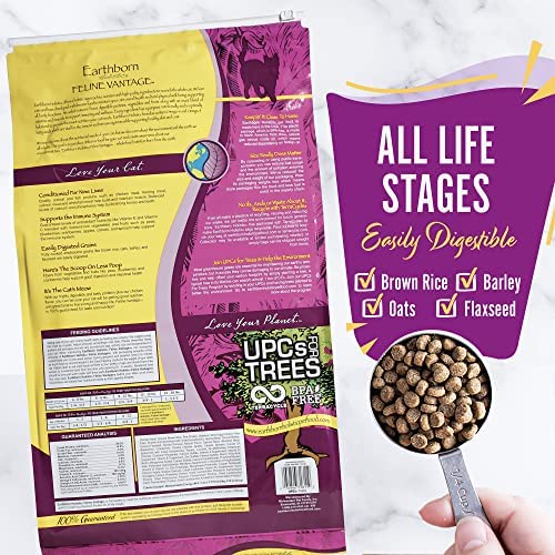 Earthborn Holistic Feline Vantage Natural Dry Cat Food 14 Pound (Pack of 1)