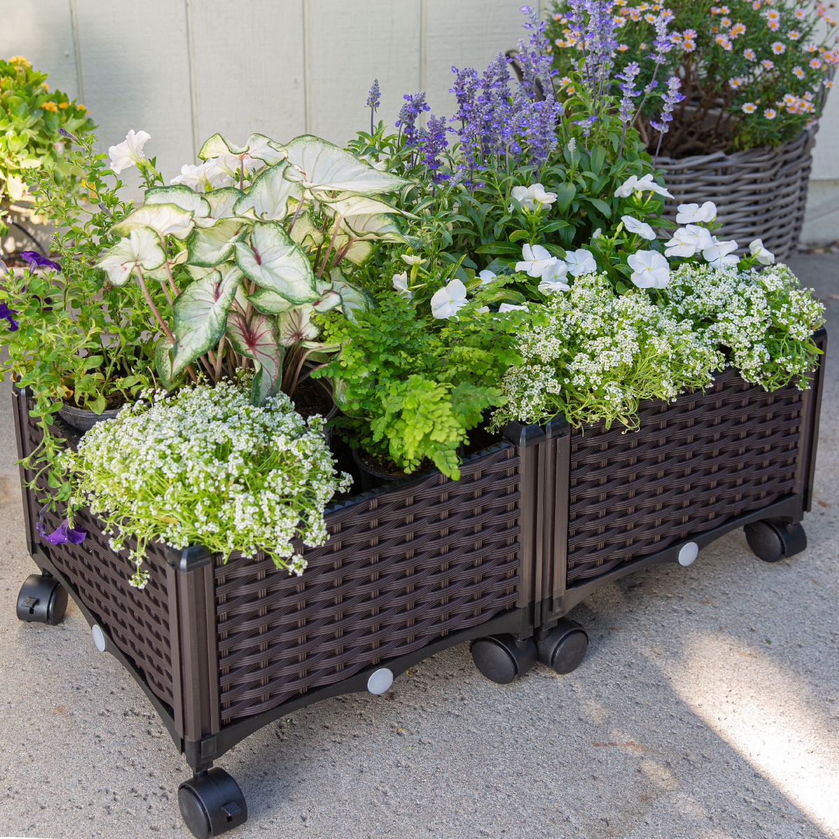 Barton 2-Piece Raised Garden Bed Planter Box with Build-in Wheels Plant Box. Brown