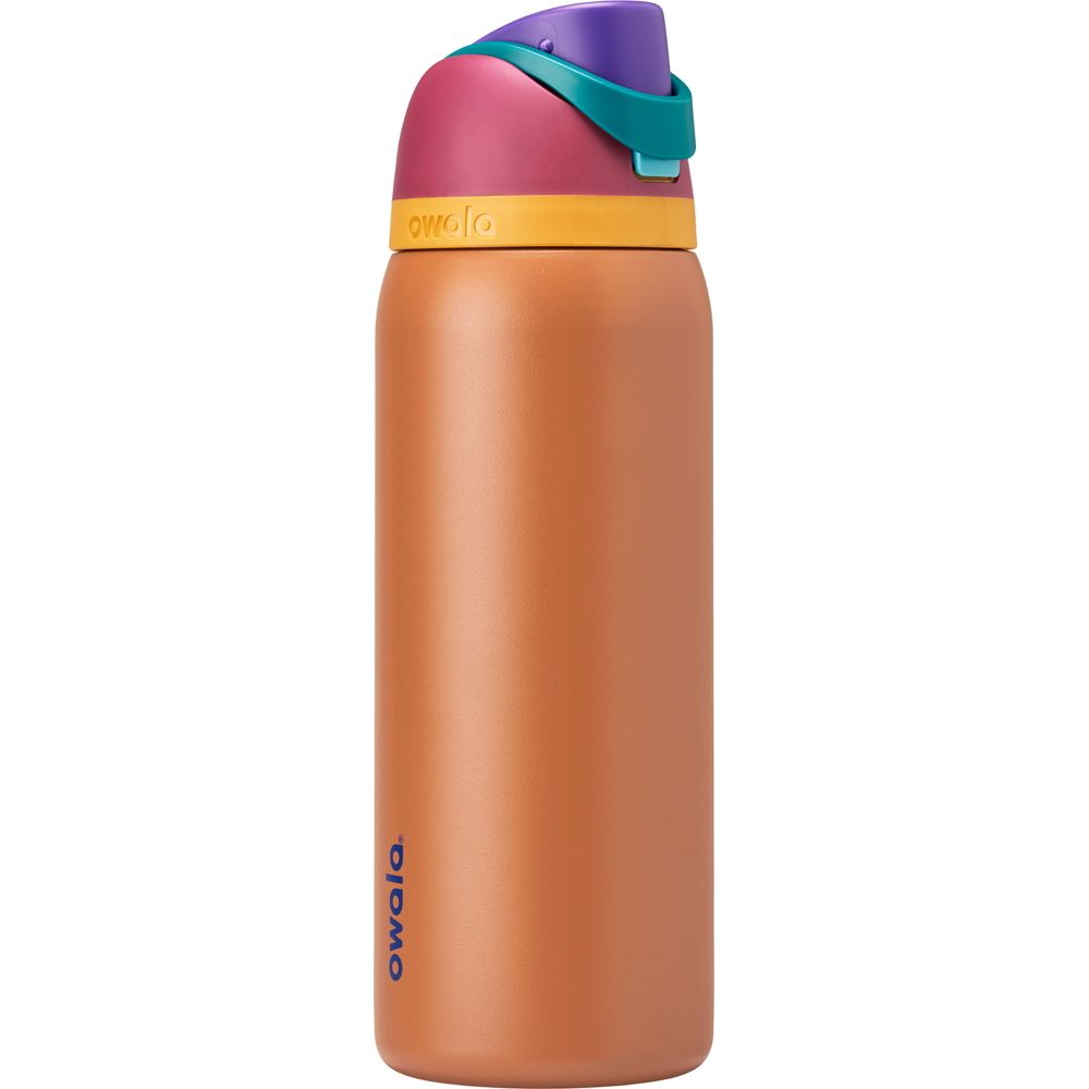 Owala 32 oz. FreeSip Stainless Steel Water Bottle - Gemstone Chic