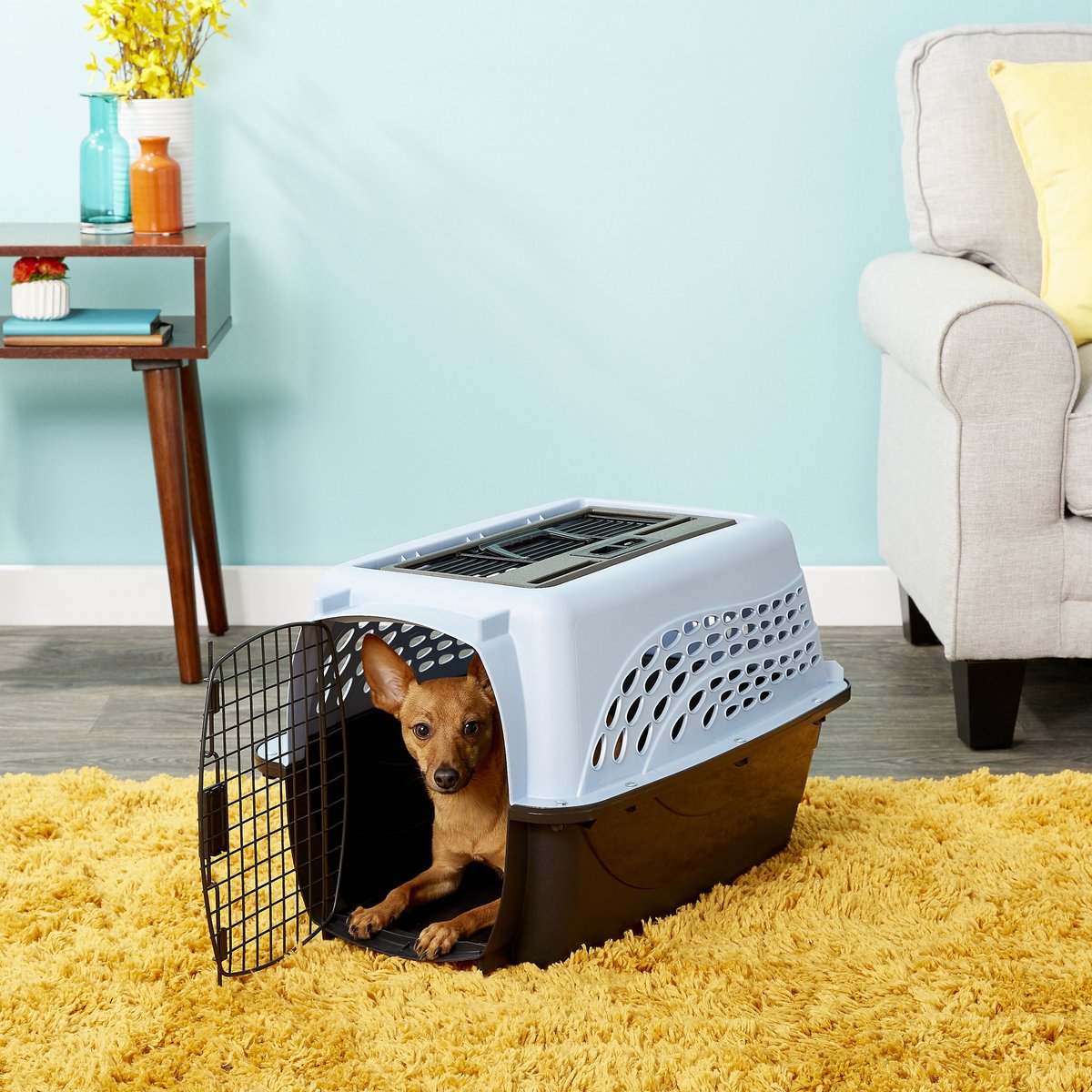 Petmate Two Door Pet Kennel for Pets up to 15 Pounds. Medium Blue